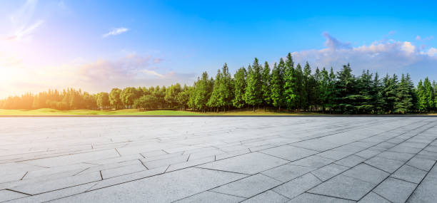 istock Empty square floor and green woods natural scenery 1167694256