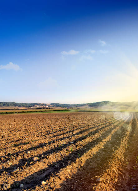 istock agricultural landscape of empty plowed field 1167695811
