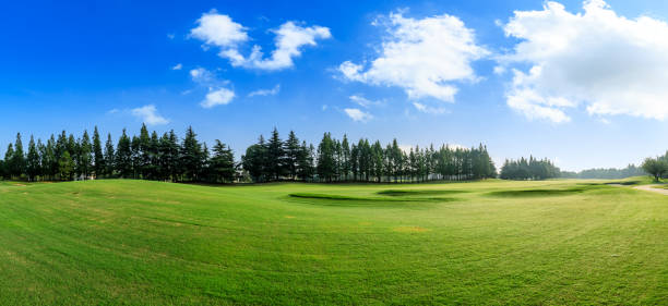istock Green grass and blue sky in Shanghai natural park 1167696692