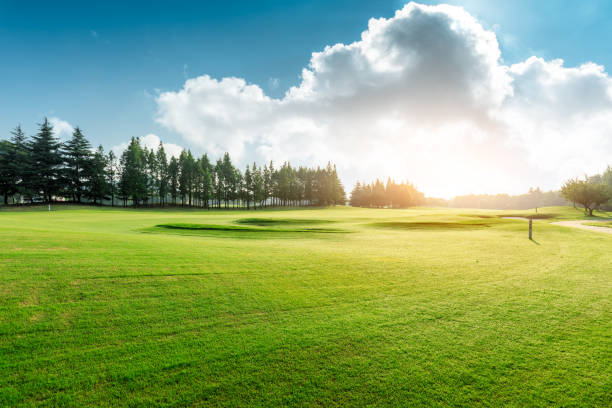 istock Green grass and blue sky with white clouds in summer 1167697831
