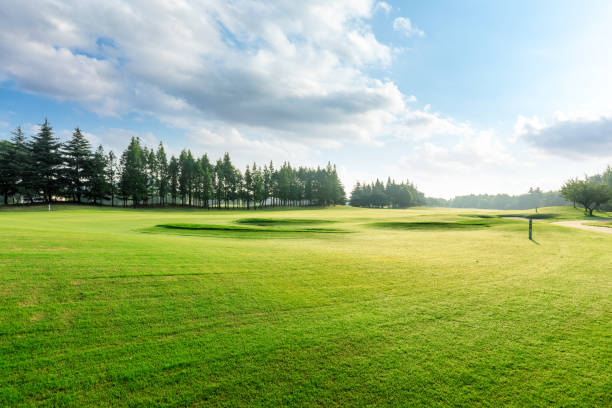 istock Green grass and blue sky with white clouds in summer 1167697885