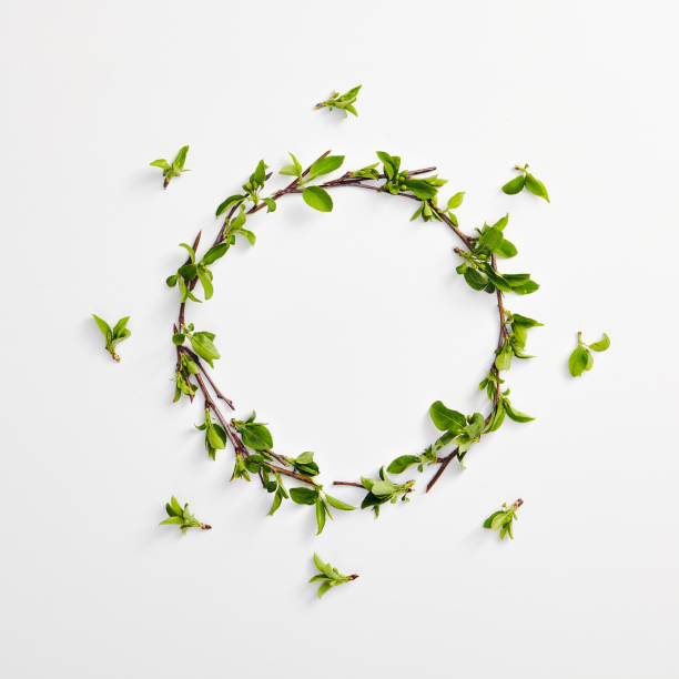 istock Creative Organic Eco Concept with Green Spring Leaves Border 1167700299