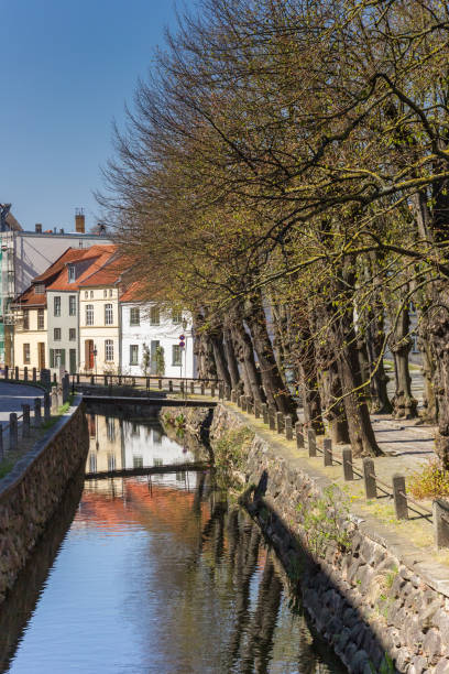 istock Trees along the canal in Wismar 1167701460
