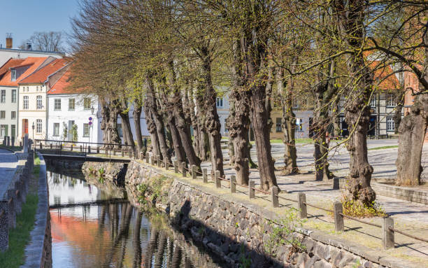 istock Trees along the canal in Wismar 1167701515
