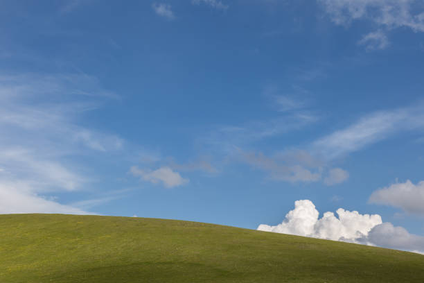 istock A green hill top under a deep blue sky, with a white and fluffly cloud 1167704074