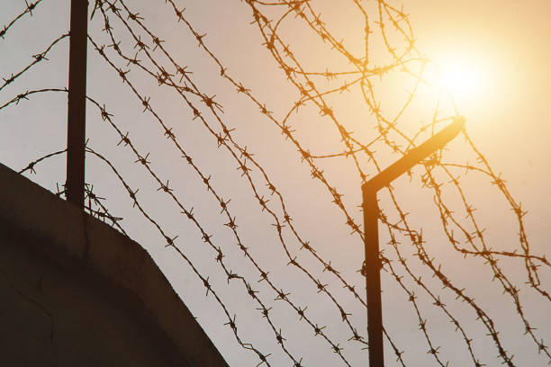 istock Barbed wire and light as a hope. Freedom, prison and hope concept. 1167704322