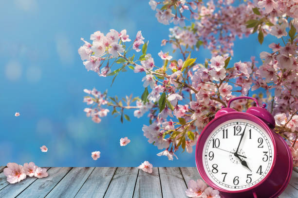 istock Clock and spring cherry flowers on wooden table 1167705429