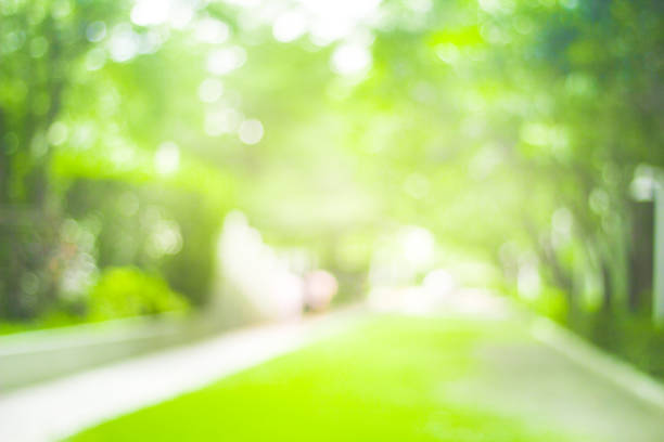 istock abstract green nature blur background  and  sunlight 1167707204