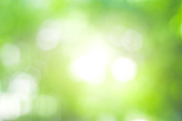 istock abstract green nature blur background  and  sunlight 1167707229