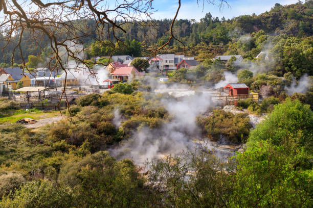 Leaving maori Thermal Village, Rotorua, New Zealand Leaving maori Thermal Village Whakarewarewa, Rotorua, New Zealand whakarewarewa stock pictures, royalty-free photos & images