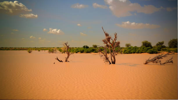 panoramic landscape view to sahel and oasis dogon tabki with flooded river , dogondoutchi, niger - niger river imagens e fotografias de stock