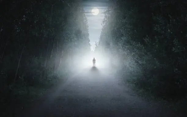 Male person walking alone in misty forest fairytale