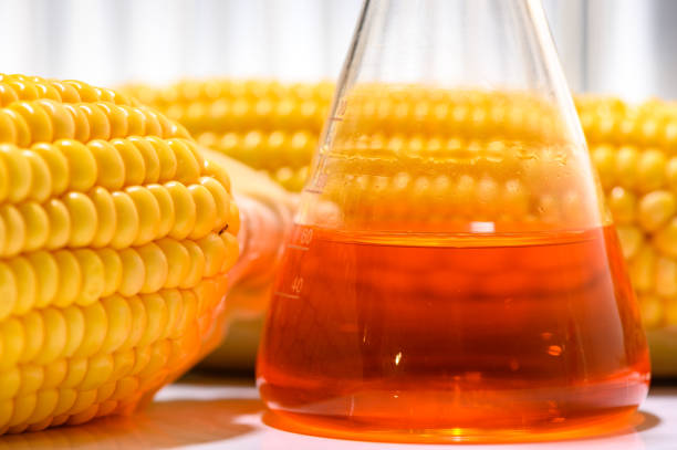 istock Biofuel or Corn Syrup, gasoline, energy, environmentalist 1167711666