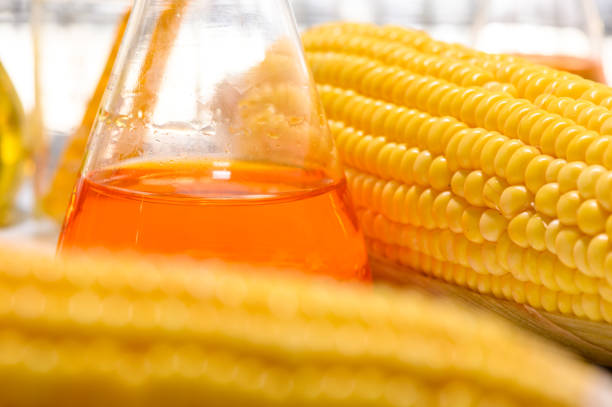 istock Biofuel or Corn Syrup, gasoline, energy, environmentalist 1167711676