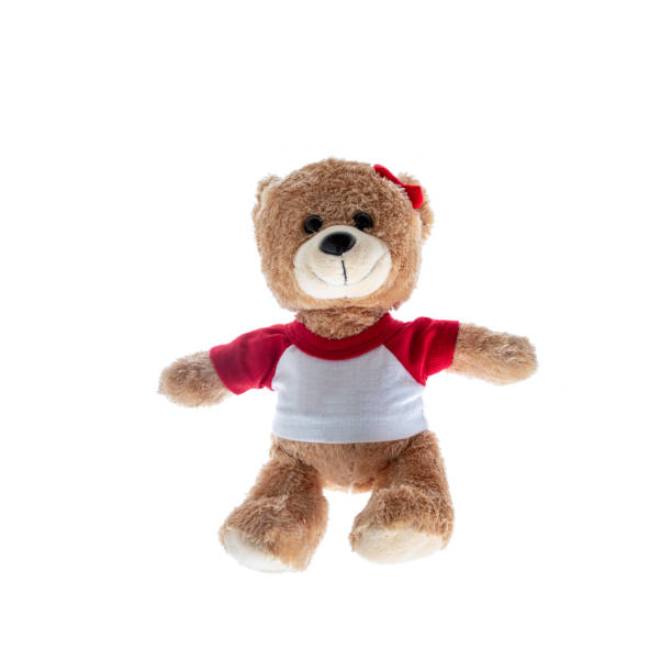 istock brown Lady teddy bear isolated on white background,mock up for card cerebration and education concept 1167713283