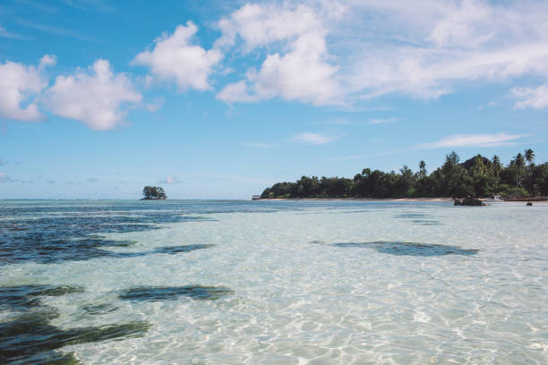 istock Scenic View Of Sea Against Sky 1167714010