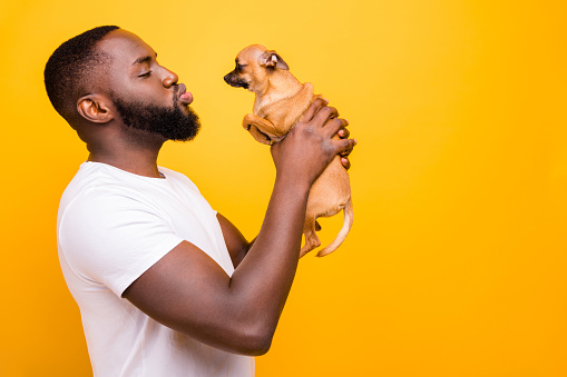 Photo of dark skin guy talking to little, pet blowing kisses wear casual outfit isolated yellow background