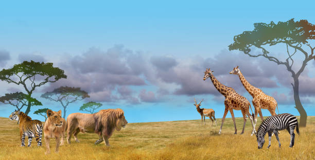 istock Savannah predators and wild animals group, collage 1167716744