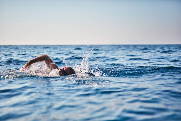 istock Swimmer training on the open sea / ocean. 1167716821