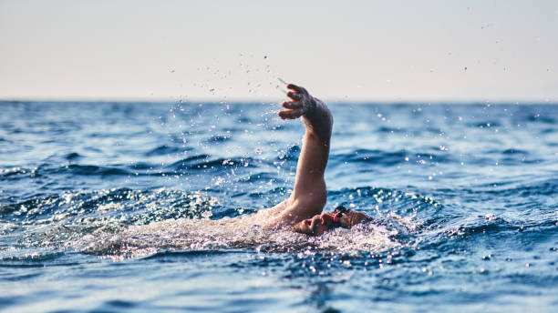 istock Swimmer training on the open sea / ocean. 1167716829