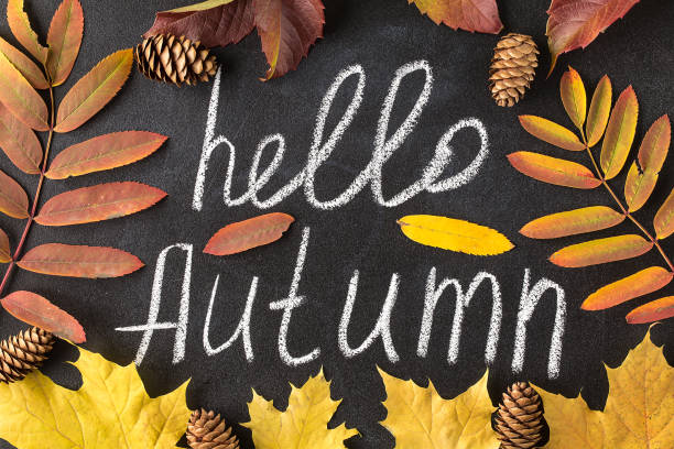 istock Hello Autumn white chalk lettering on blackboard. 1167719705