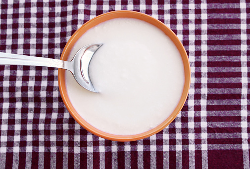 Fresh yogurt in the bowl