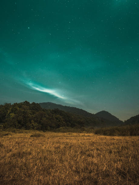 istock Beautiful night at camping ground, Indonesia 1167719809