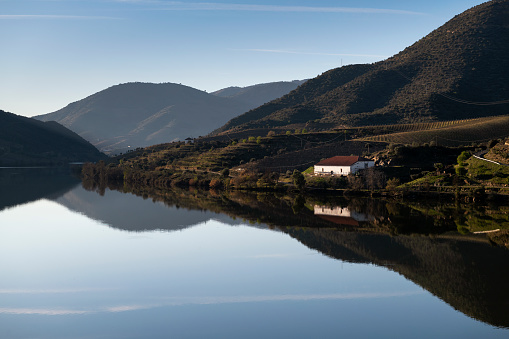 Vista panorámica del río Duero con viñedos adosados cerca del pueblo de Foz Coa photo