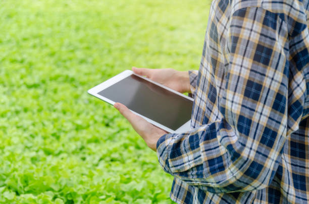 istock young woman farmer using mobile tablet with view of organic hydroponic fresh vegetables in greenhouse garden nursery farm, smart farming technology, organic vegetable farm and healthy food concept 1167723090