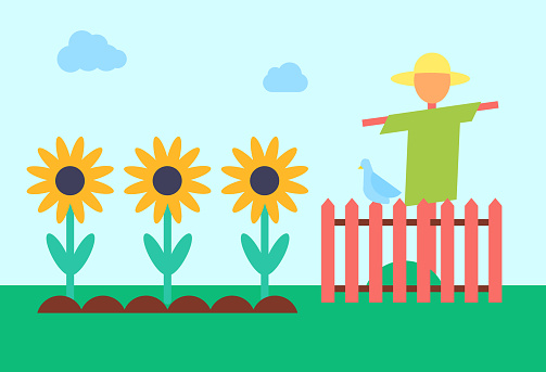 Scarecrow bogey and sunflowers field. Bugaboo enclosed with wooden fence protecting crop from crows. Golliwog on farm and plants in ground vector