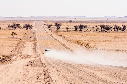 Pick-up truck creates a dust cloud as it dives through the Namib Desert, Namibia