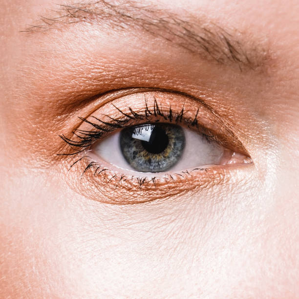 istock Beauty and fashion. 1167725717