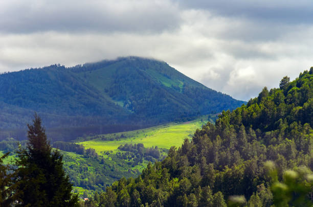 istock Sunbeams Shine through Heavy Clouds Flowing Low over the Forested Mountain Ridge and a Highland Valley on a Summer Afternoon. Altai Mountains, Kazakhstan. 1167728023
