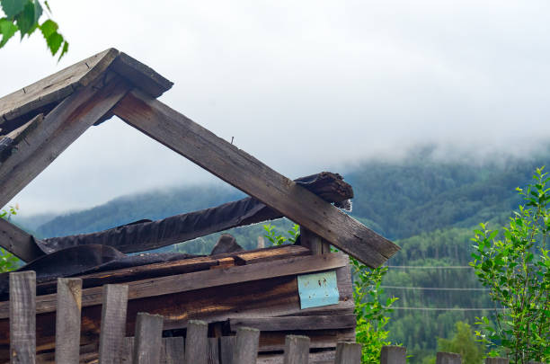 highland misty summer morning. old broken wooden hut, picket fence, birch tree branch, cherry trees with green berries, power line. blurred background of forested mountain slope, clouds flowing low. - picket line fotos imagens e fotografias de stock