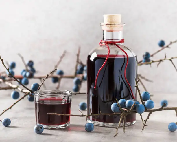 Glass of homemade sloe liqueur or gin decorated with fresh juicy ripe berries. Selective focus. Copy space.