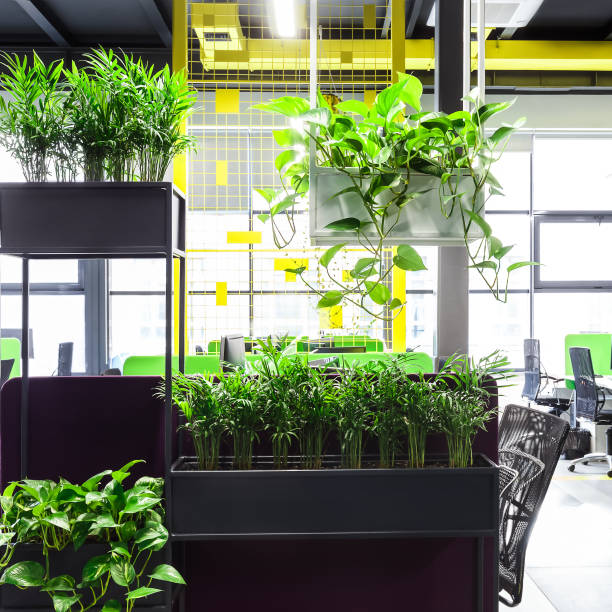 istock Office space interior with green plant corner for relaxing 1167729601