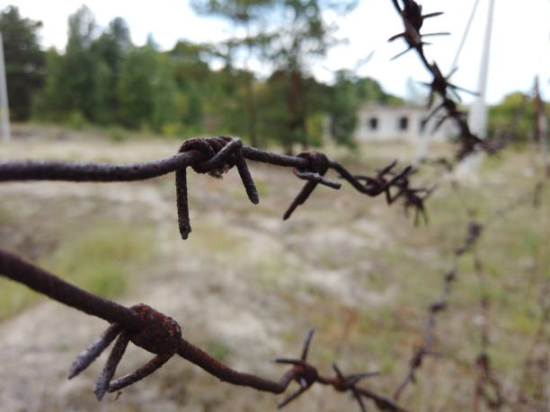 istock Rusty barbed wire on an old fence. Abandoned restricted area fenced with barbed wire. 1167731610