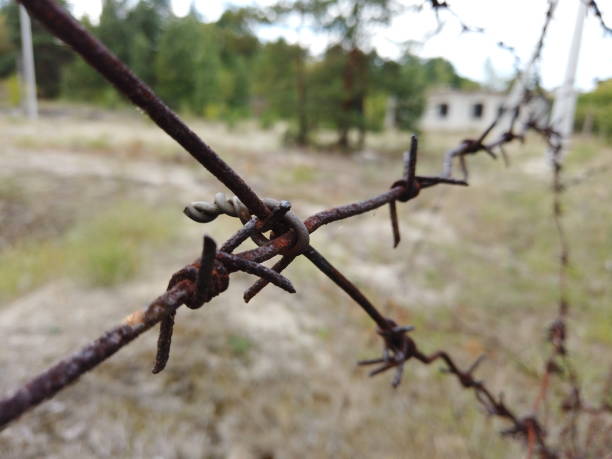 istock Rusty barbed wire on an old fence. Abandoned restricted area fenced with barbed wire. 1167731613