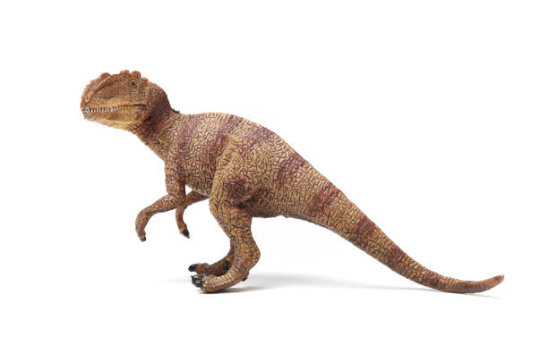 istock tyrannosaurus on white background 1167733655
