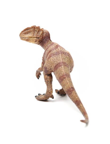 istock tyrannosaurus on white background 1167733662