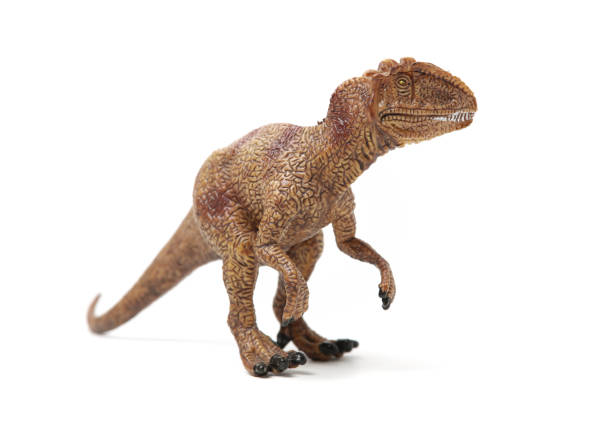 istock tyrannosaurus on white background 1167733913
