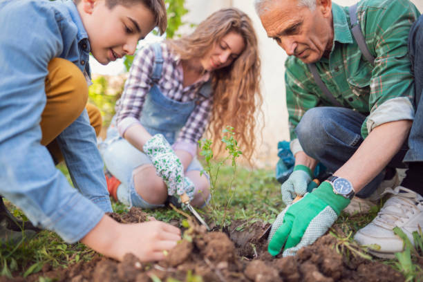 istock Any work is easier when the family is there 1167734998