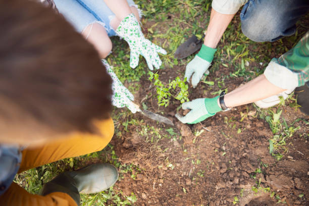 istock Nurturing means helping each other grow 1167735001