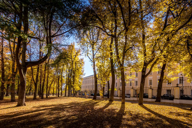 istock Leaf fall in the park in autumn sunny day with golden trees. 1167735164