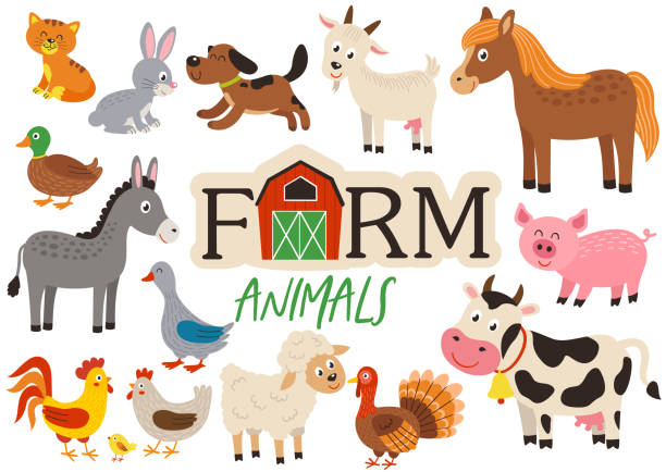 ilustraciones, imágenes clip art, dibujos animados e iconos de stock de conjunto de animales de granja lindos aislados - ganado