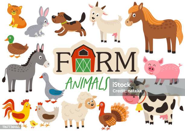 Set Of Isolated Cute Farm Animals Stock Illustration - Download Image Now -  Livestock, Animal, Farm - iStock
