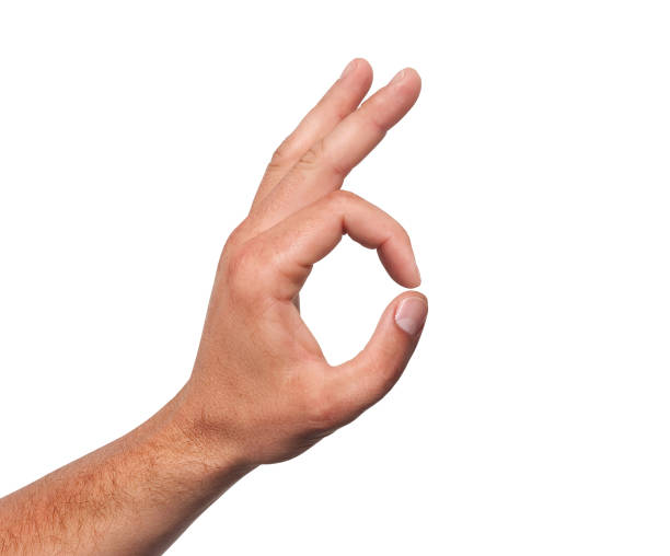 istock Hand OK sign isolated on white background 1167736610