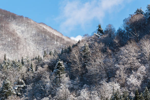 istock Shirakawa-go landscape 1167738622