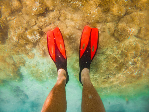 istock mans legs in red flippers underwater snorkeling 1167739863