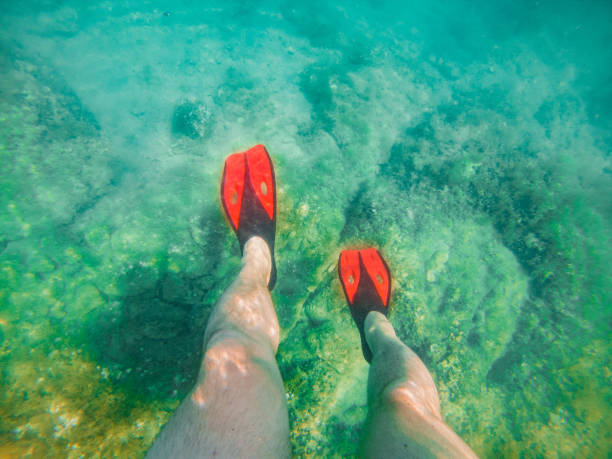 istock mans legs in red flippers underwater snorkeling 1167739889